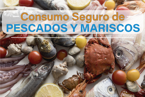Consumo seguro de pescados y mariscos - Salud Responde