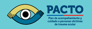 https://www.gob.cl/pacto/